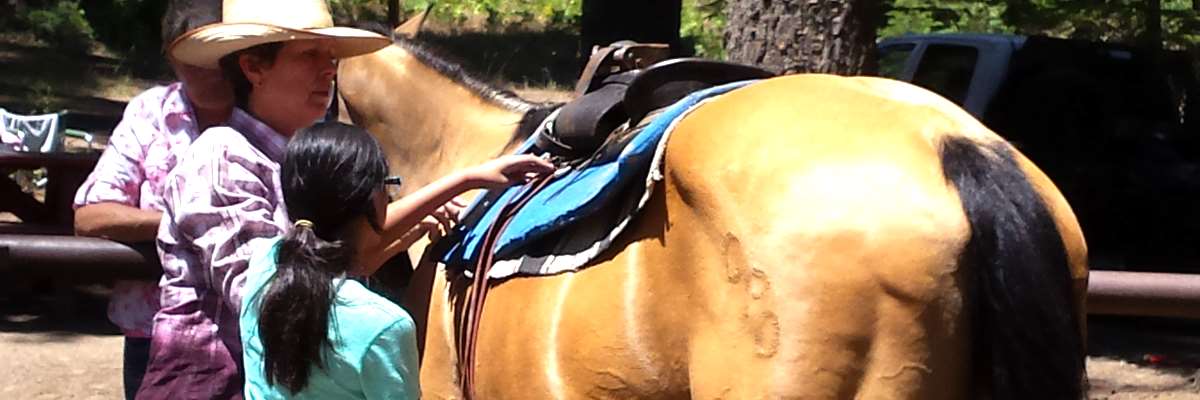 camp-el-o-win-horseback-saddle-adjustments